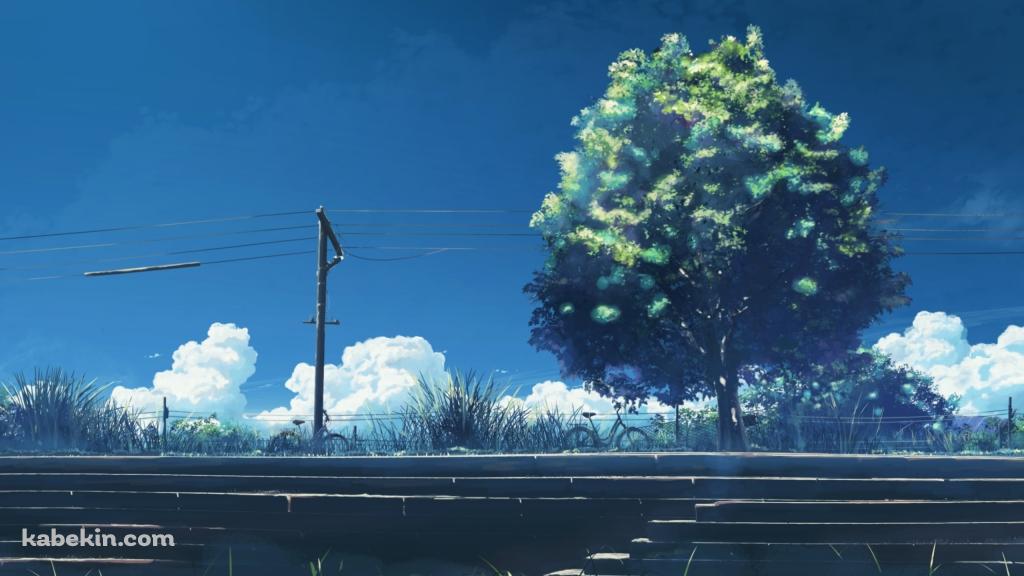 階段と大きな緑の木と電線の壁紙(1024px x 576px) 高画質 PC・デスクトップ用