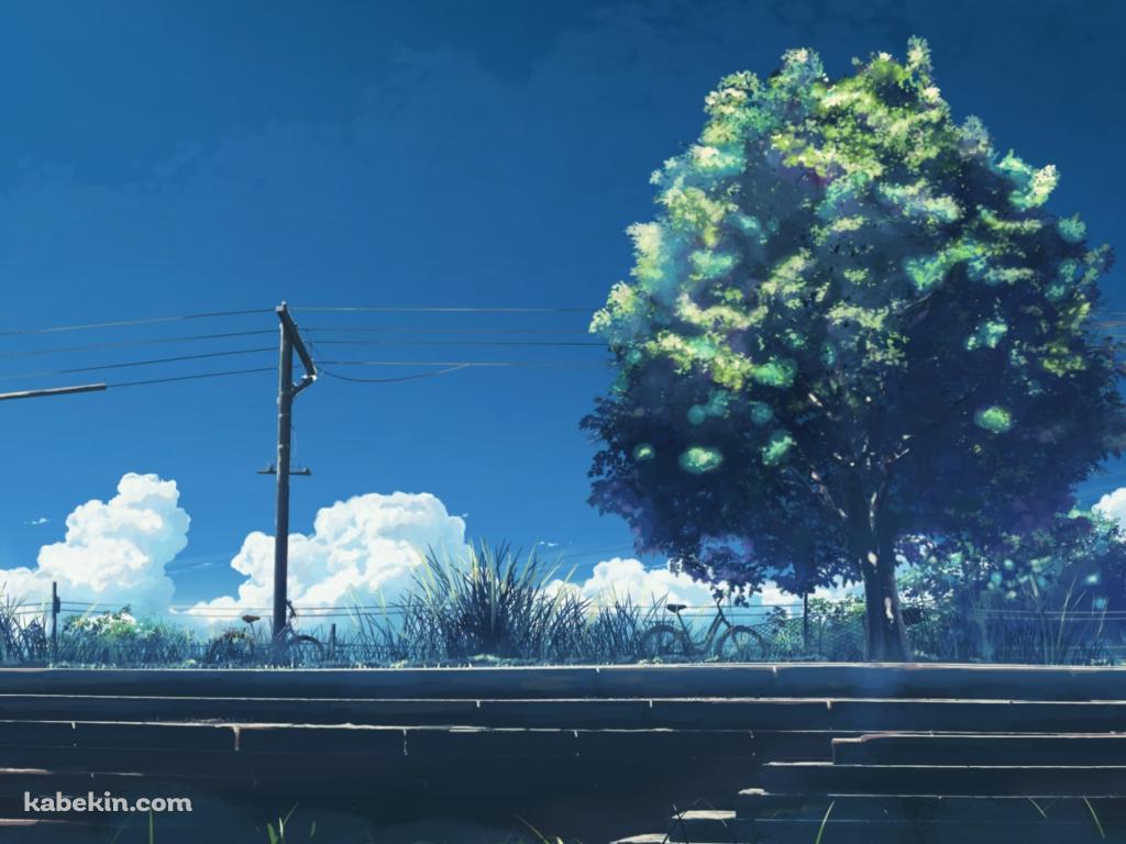 階段と大きな緑の木と電線の壁紙(1024px x 768px) 高画質 PC・デスクトップ用