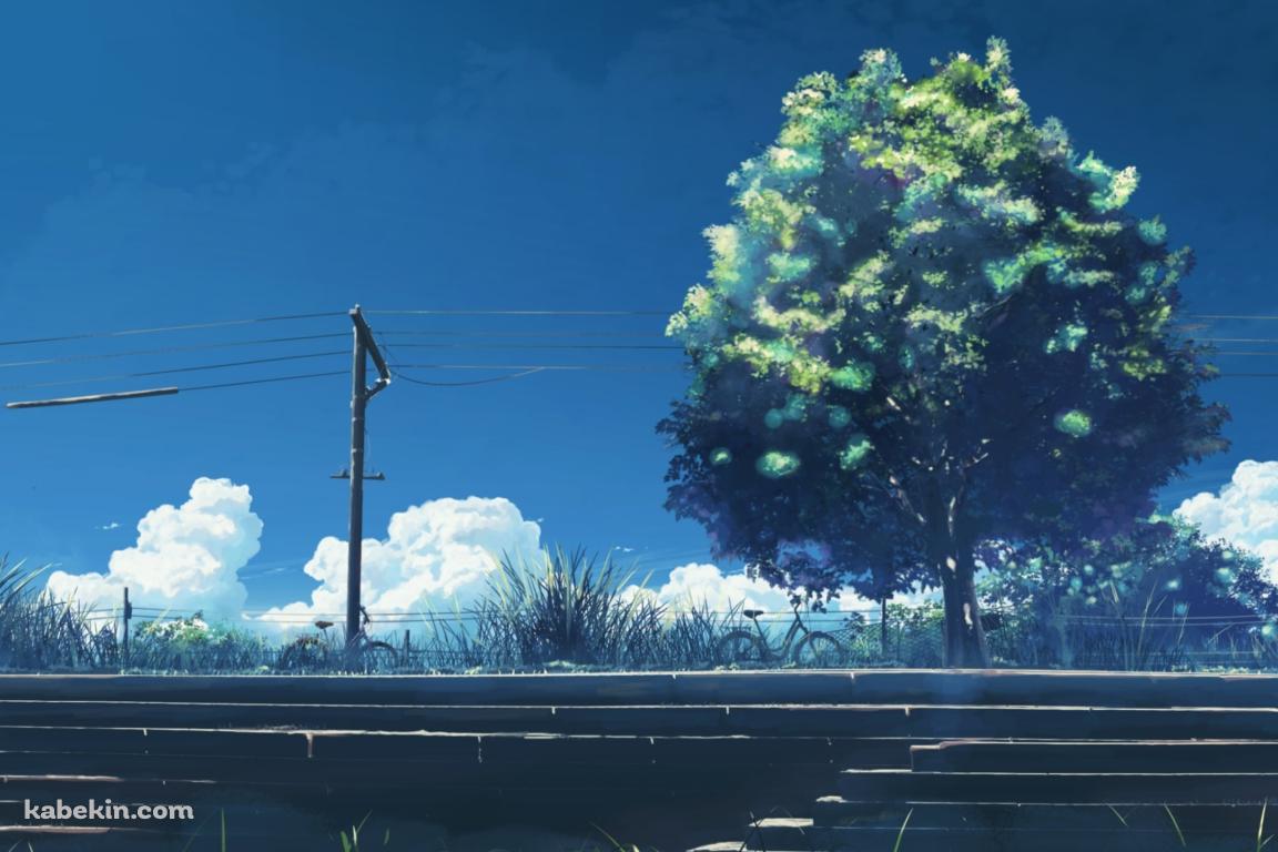 階段と大きな緑の木と電線の壁紙(1152px x 768px) 高画質 PC・デスクトップ用