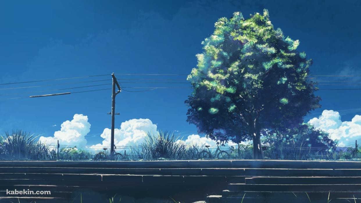 階段と大きな緑の木と電線の壁紙(1242px x 698px) 高画質 PC・デスクトップ用