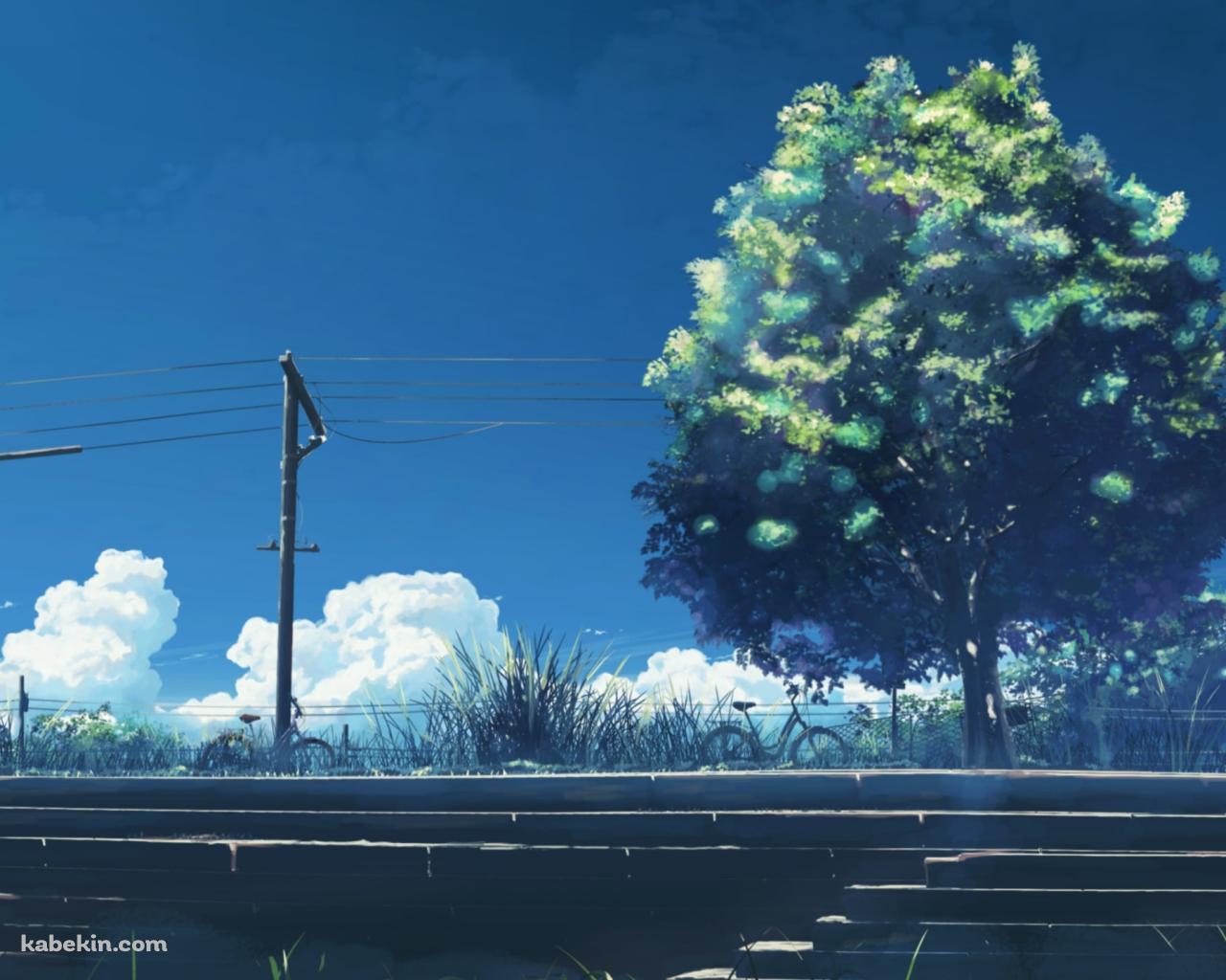 階段と大きな緑の木と電線の壁紙(1280px x 1024px) 高画質 PC・デスクトップ用