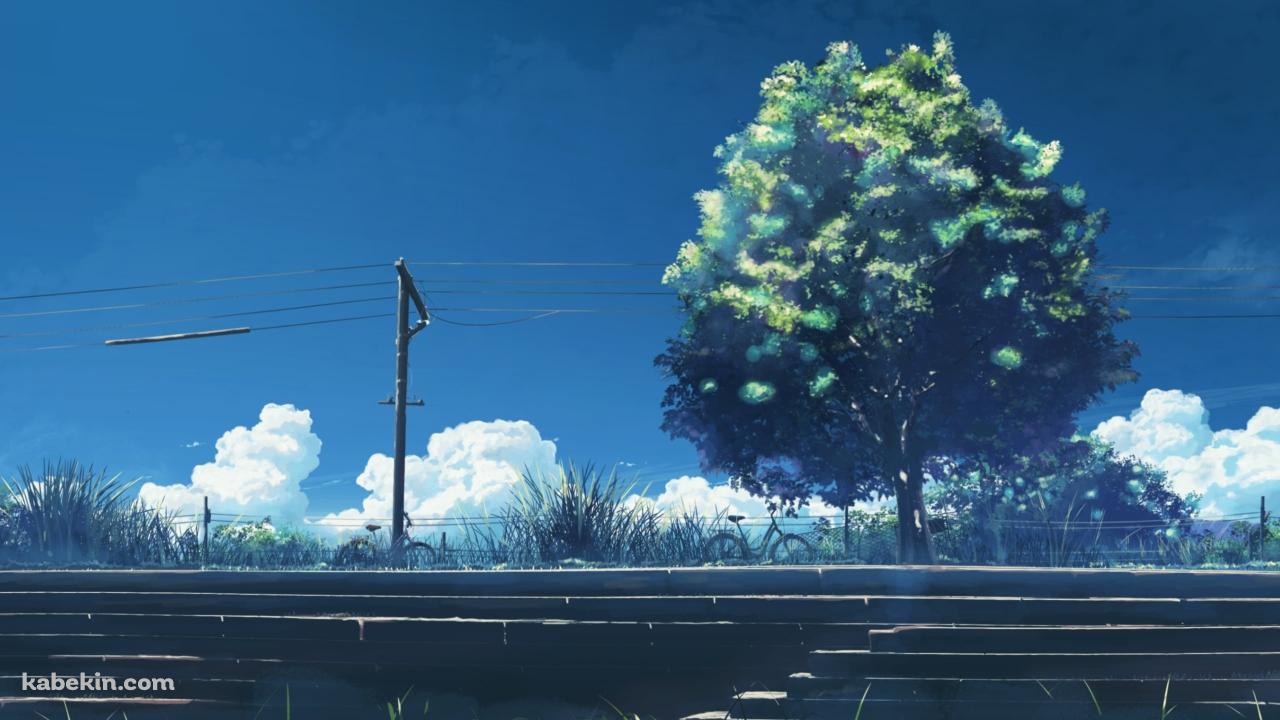 階段と大きな緑の木と電線の壁紙(1280px x 720px) 高画質 PC・デスクトップ用