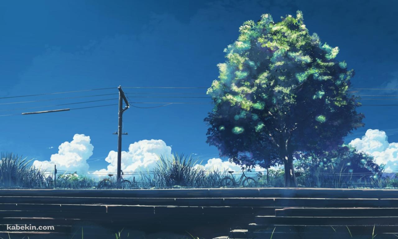 階段と大きな緑の木と電線の壁紙(1280px x 768px) 高画質 PC・デスクトップ用