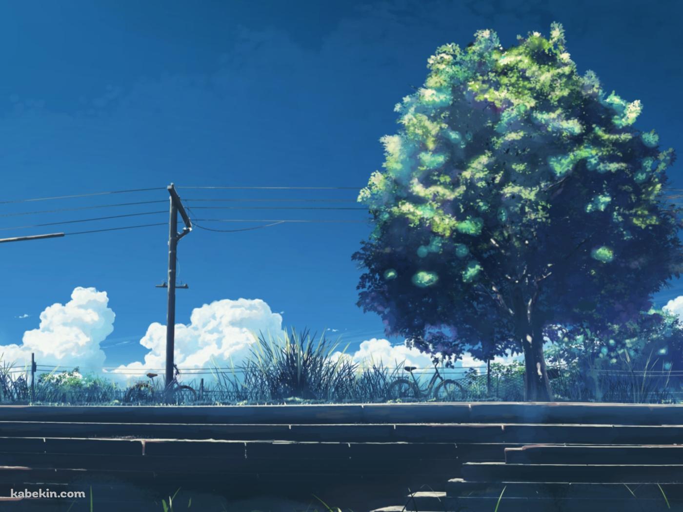 階段と大きな緑の木と電線の壁紙(1400px x 1050px) 高画質 PC・デスクトップ用