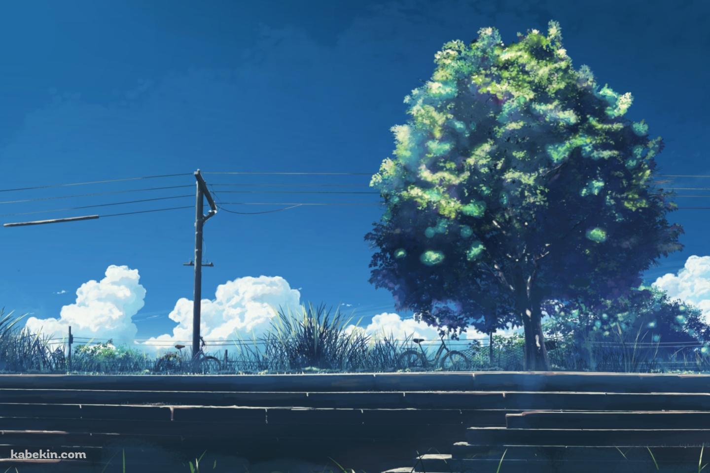 階段と大きな緑の木と電線の壁紙(1440px x 960px) 高画質 PC・デスクトップ用