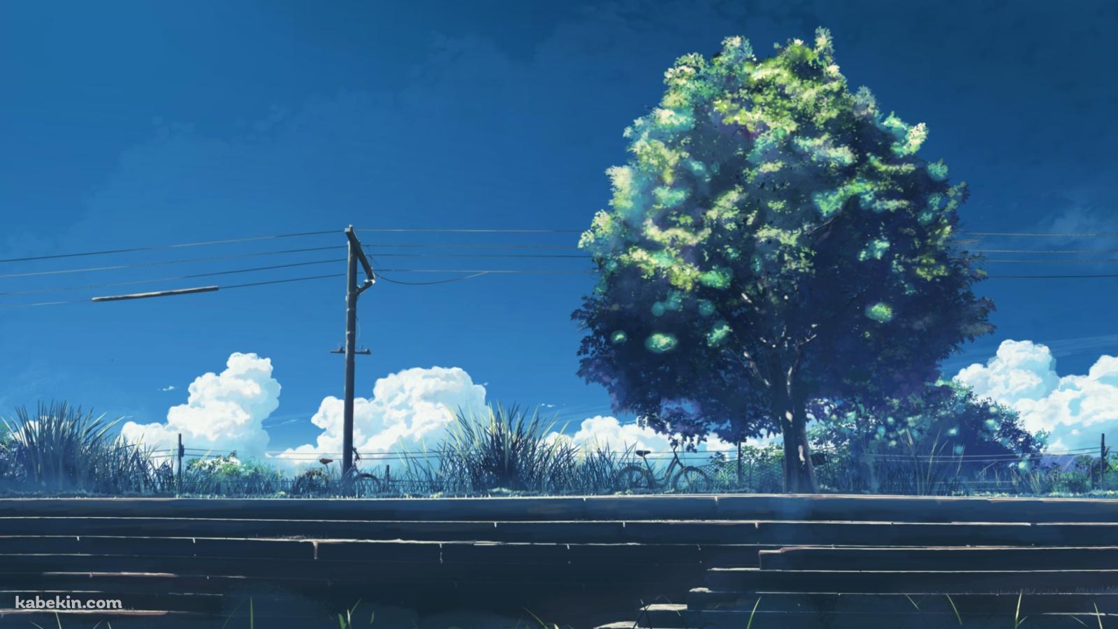 階段と大きな緑の木と電線の壁紙(1600px x 900px) 高画質 PC・デスクトップ用