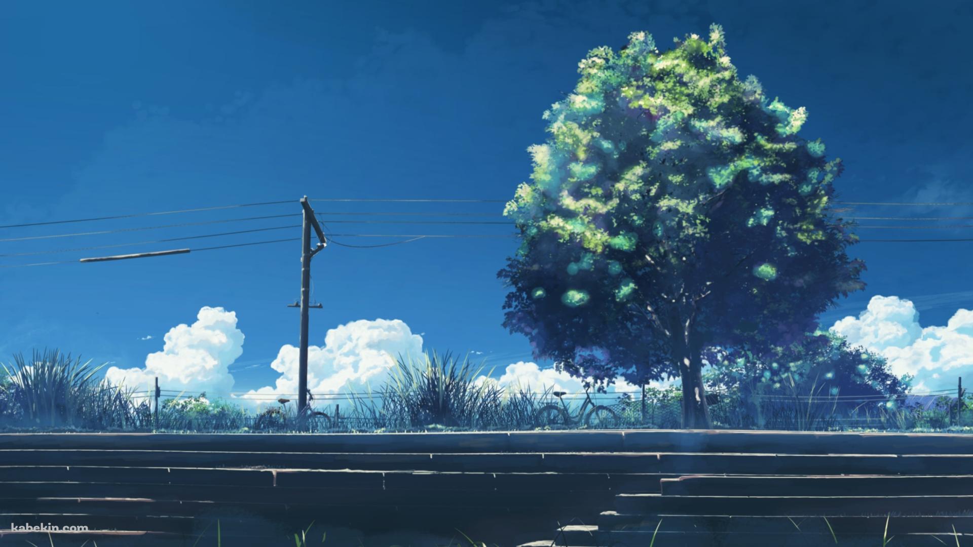 階段と大きな緑の木と電線の壁紙(1920px x 1080px) 高画質 PC・デスクトップ用