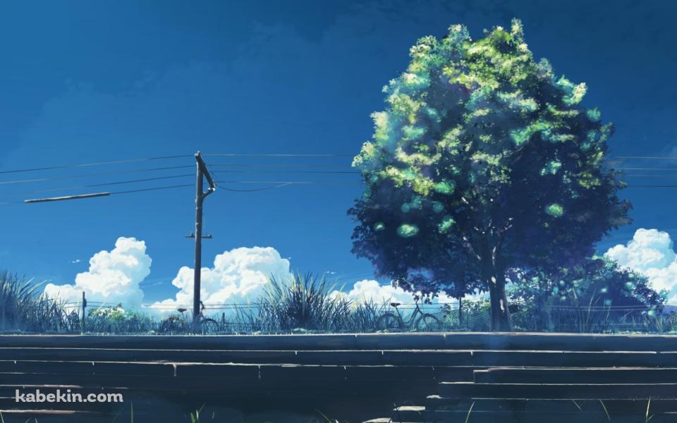 階段と大きな緑の木と電線の壁紙(960px x 600px) 高画質 PC・デスクトップ用