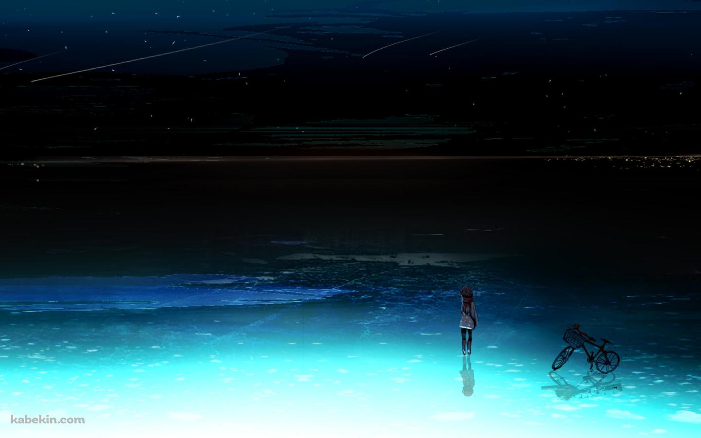 流れ星 / 夜景 / 女性 / 籠のついた自転車の壁紙(1440px x 900px) 高画質 PC・デスクトップ用