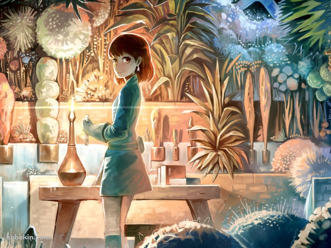 こちらに振り向くナウシカ / 風の谷のナウシカ / ジブリの壁紙(1152px x 864px) 高画質 PC・デスクトップ用