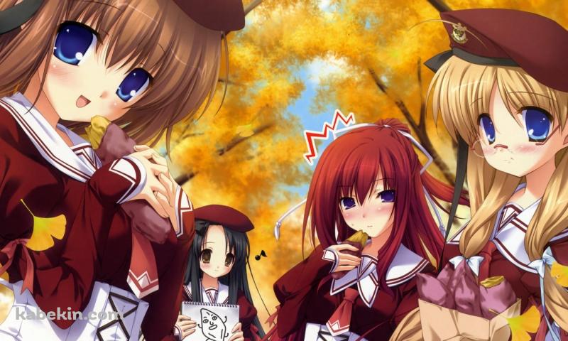 イレブンアイズの壁紙(800px x 480px) 高画質 PC・デスクトップ用