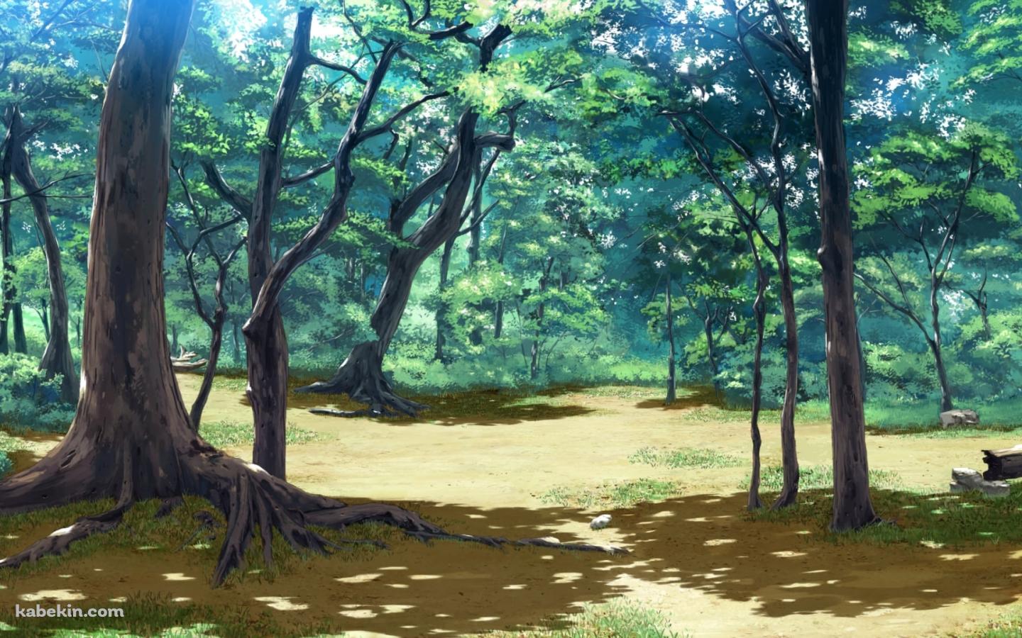 光り射す林 / 木陰の壁紙(1440px x 900px) 高画質 PC・デスクトップ用