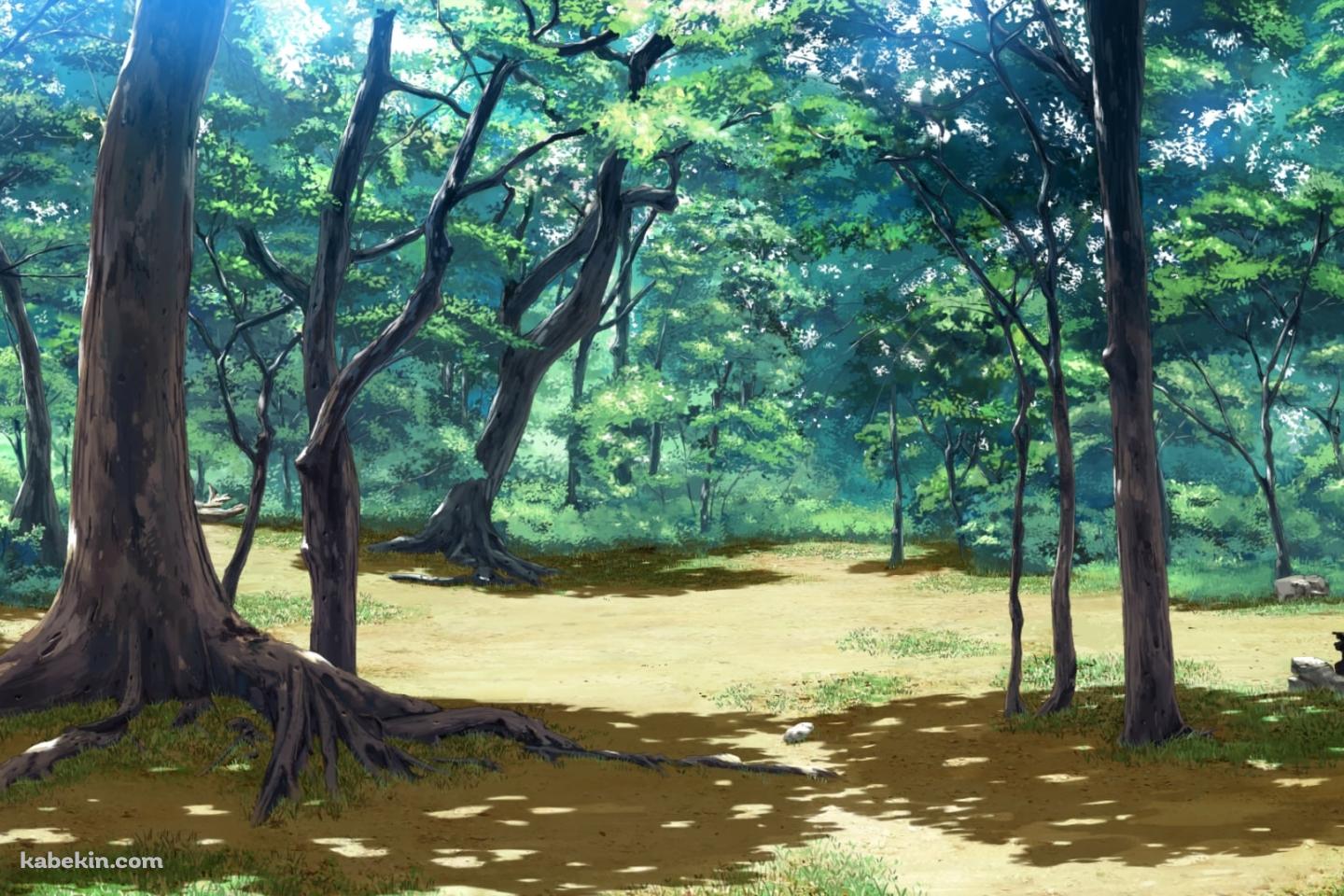 光り射す林 / 木陰の壁紙(1440px x 960px) 高画質 PC・デスクトップ用