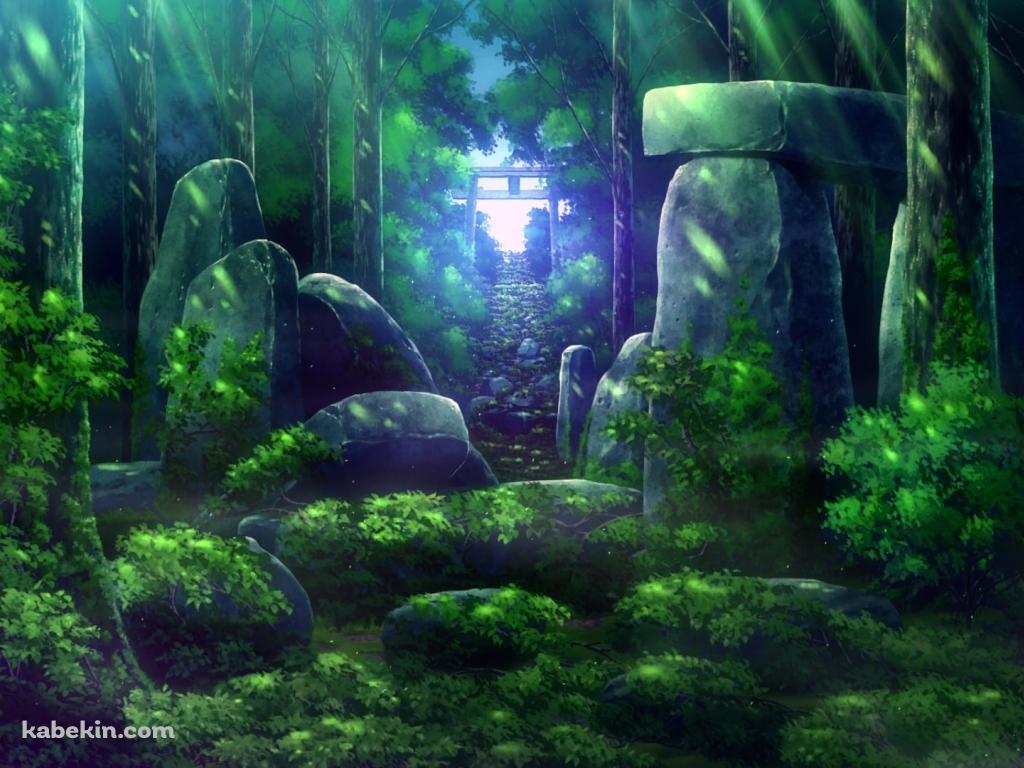 緑に覆われた森と遠くに見える鳥居 / 蛍火の杜への壁紙(1024px x 768px) 高画質 PC・デスクトップ用