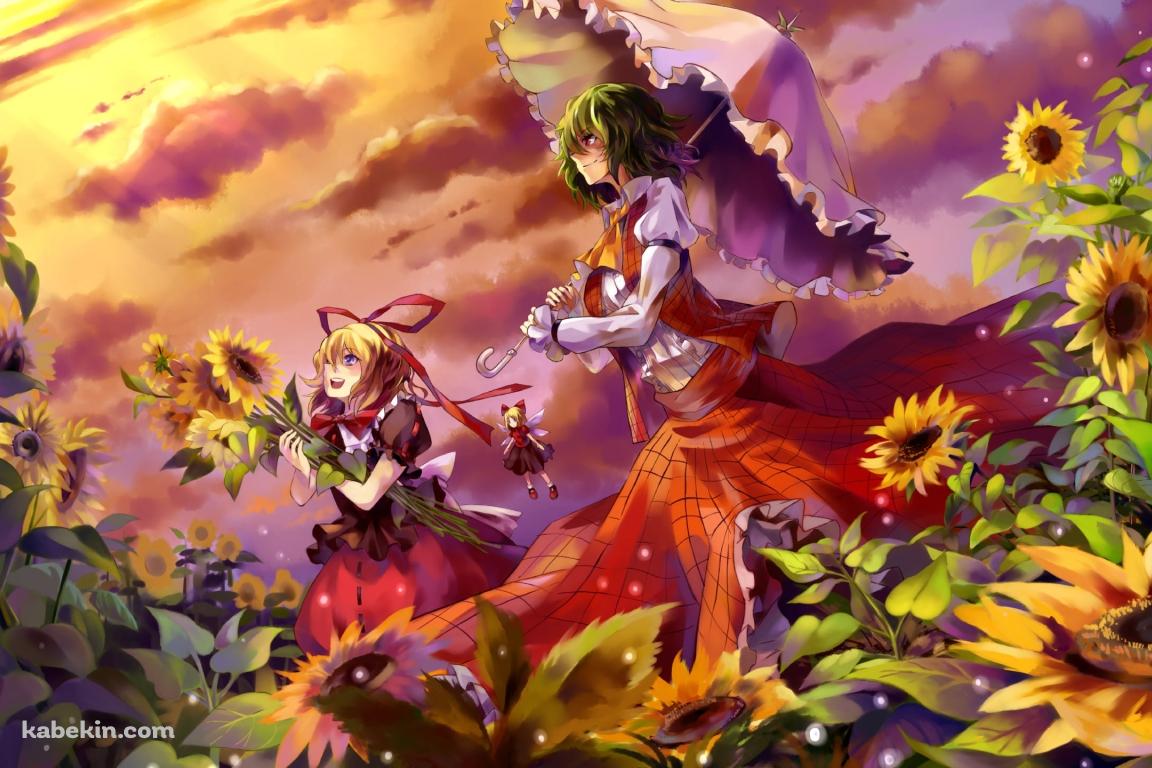 向日葵畑と空を眺めるメディスン・メランコリーと風見幽香 / 東方の壁紙(1152px x 768px) 高画質 PC・デスクトップ用