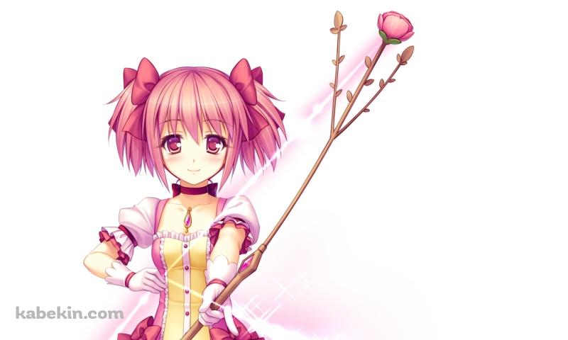 花のついた弓をかまえる鹿目まどか / 魔法少女まどか☆マギカの壁紙(800px x 480px) 高画質 PC・デスクトップ用