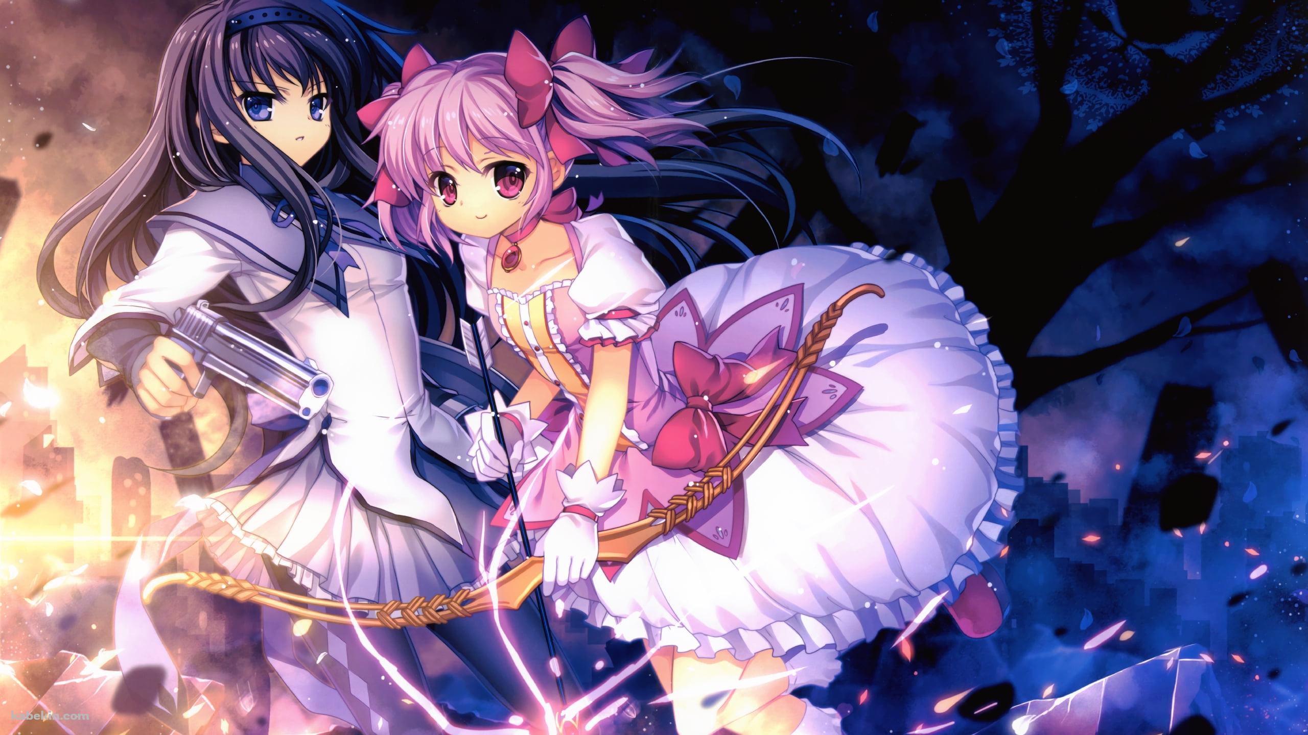 武器をもってかまえる暁美ほむらと鹿目まどか / 魔法少女まどか