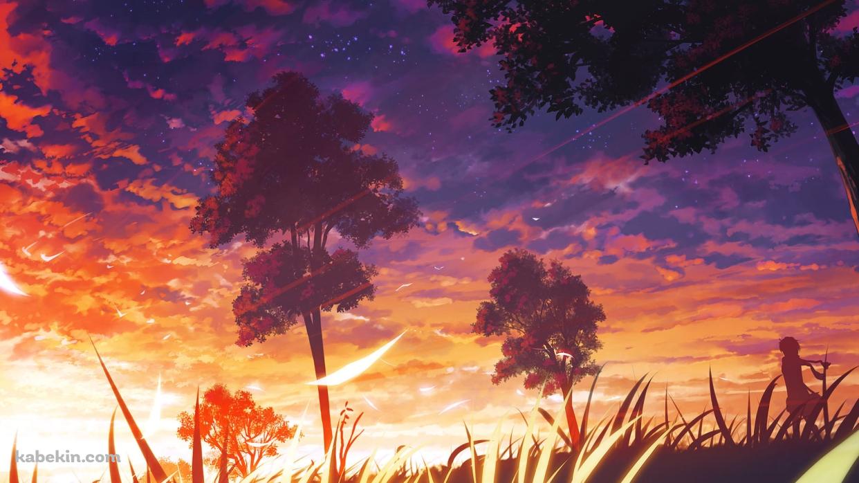 夕陽と草原に佇む女性のシルエットの壁紙(1242px x 698px) 高画質 PC・デスクトップ用