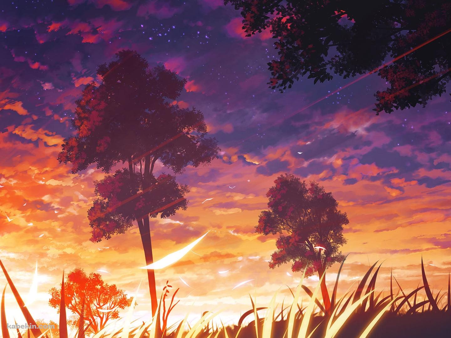 夕陽と草原に佇む女性のシルエットの壁紙(1440px x 1080px) 高画質 PC・デスクトップ用