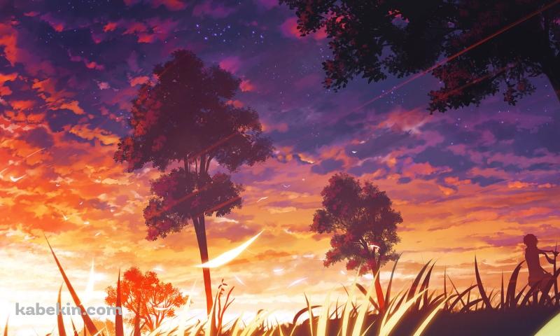 夕陽と草原に佇む女性のシルエットの壁紙(800px x 480px) 高画質 PC・デスクトップ用