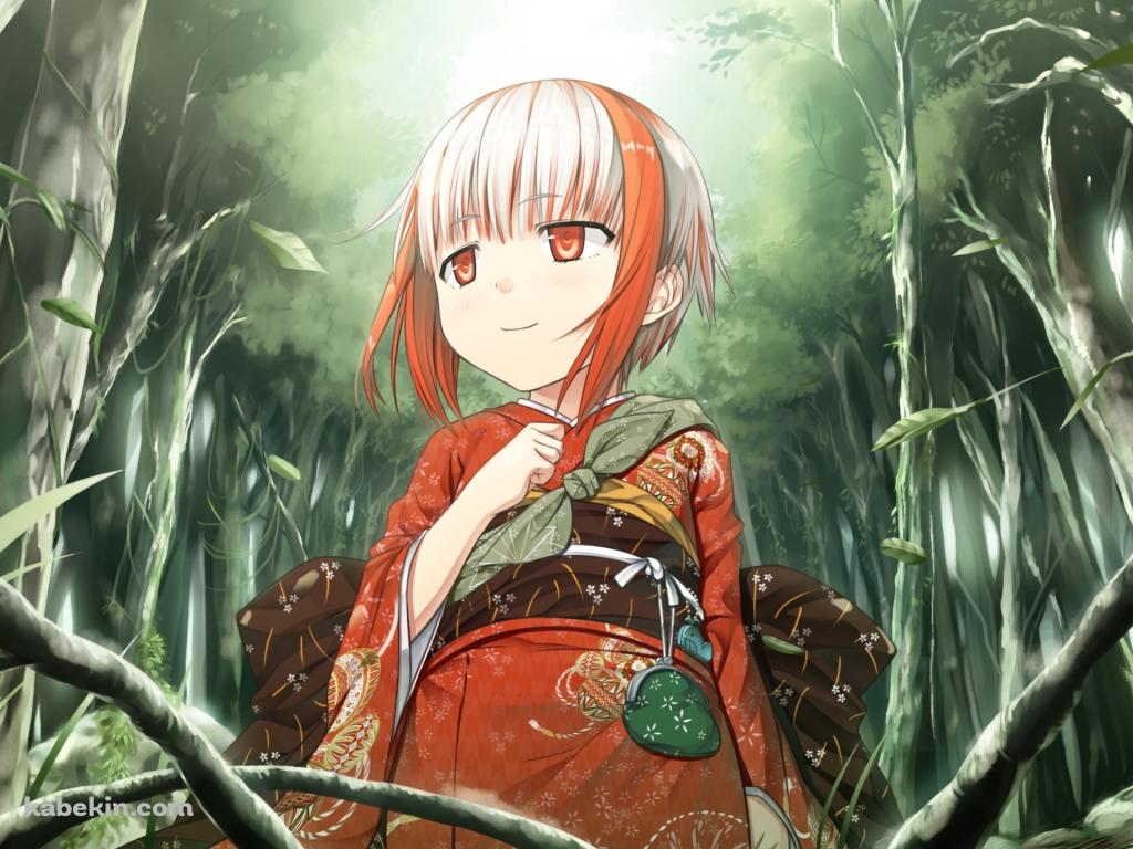 赤い着物を着たすみ / ものべのの壁紙(1024px x 768px) 高画質 PC・デスクトップ用