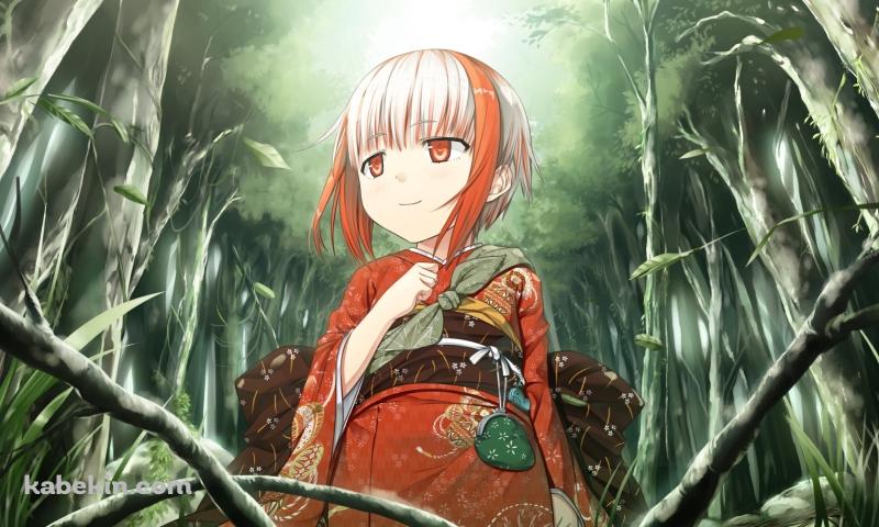 赤い着物を着たすみ / ものべのの壁紙(800px x 480px) 高画質 PC・デスクトップ用
