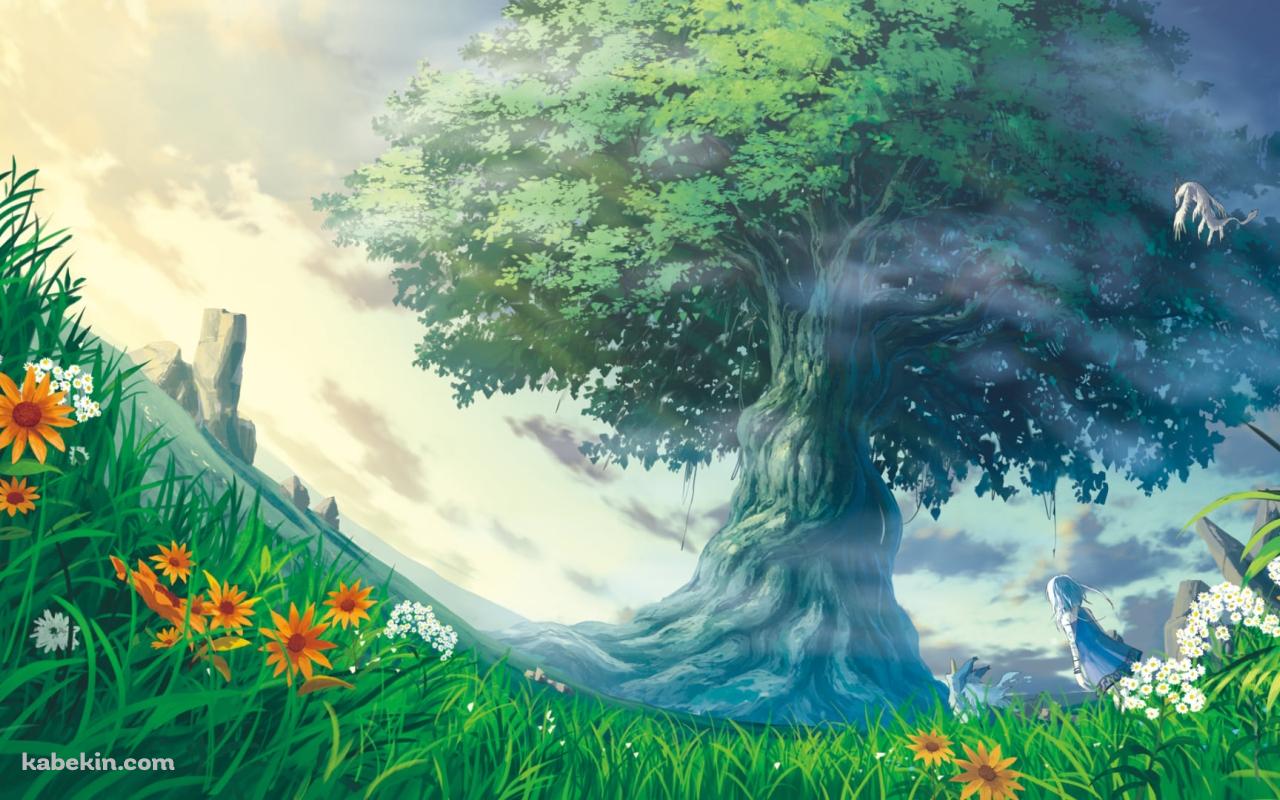 大きな木の前に立つ少女 / 白いドラゴン / オレンジの花の壁紙(1280px x 800px) 高画質 PC・デスクトップ用