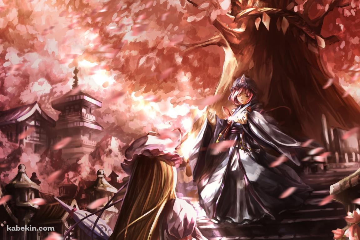 桜の大木と階段に立つ西行寺幽々子と八雲紫 / 東方の壁紙(1152px x 768px) 高画質 PC・デスクトップ用
