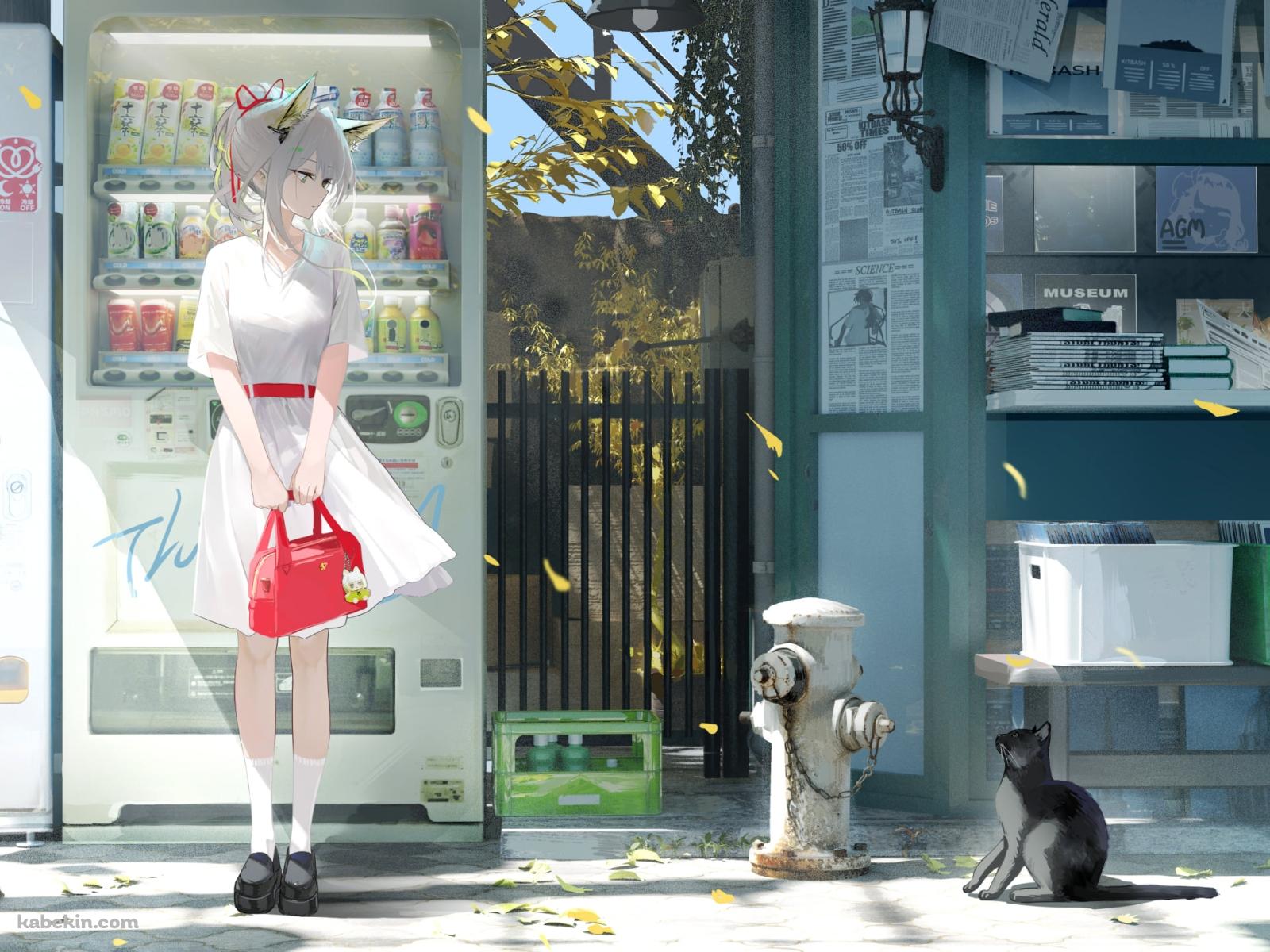 自動販売機の前で黒い猫を見つめるケルシー / アークナイツの壁紙(1600px x 1200px) 高画質 PC・デスクトップ用