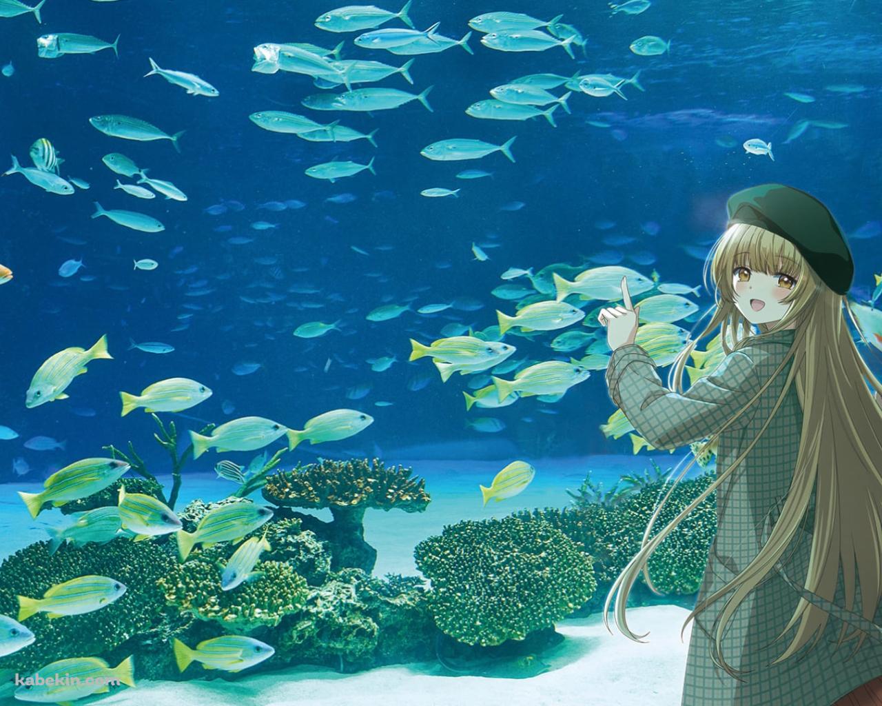 水族館で魚を見る椎名真昼 / お隣の天使様にいつの間にか駄目人間にされていた件の壁紙(1280px x 1024px) 高画質 PC・デスクトップ用