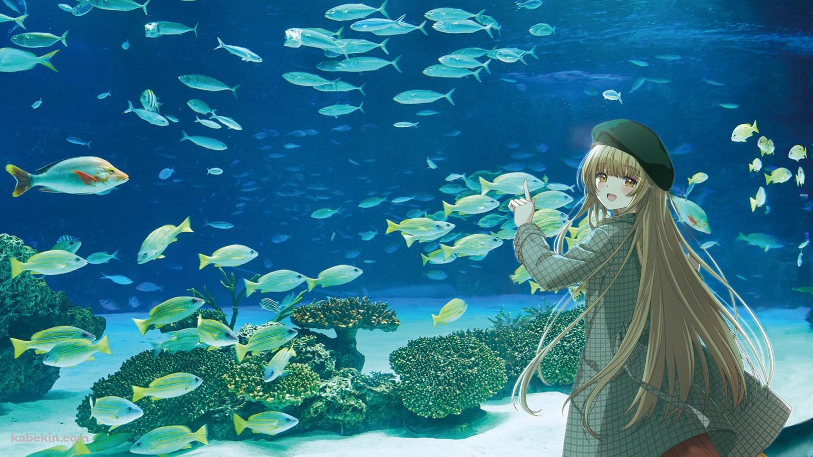 水族館で魚を見る椎名真昼 / お隣の天使様にいつの間にか駄目人間にされていた件の壁紙(1600px x 900px) 高画質 PC・デスクトップ用
