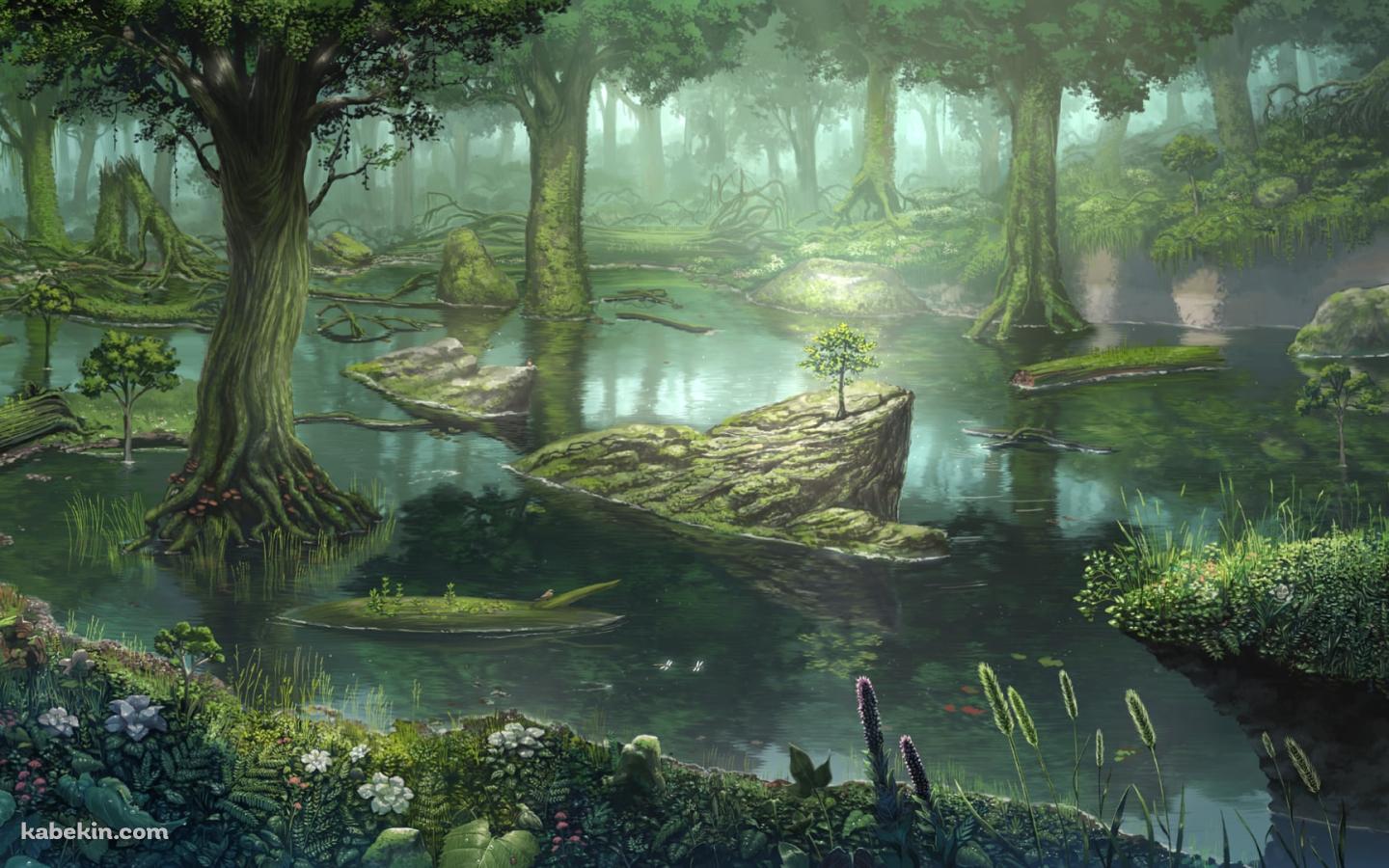 水気の多い森の壁紙(1440px x 900px) 高画質 PC・デスクトップ用