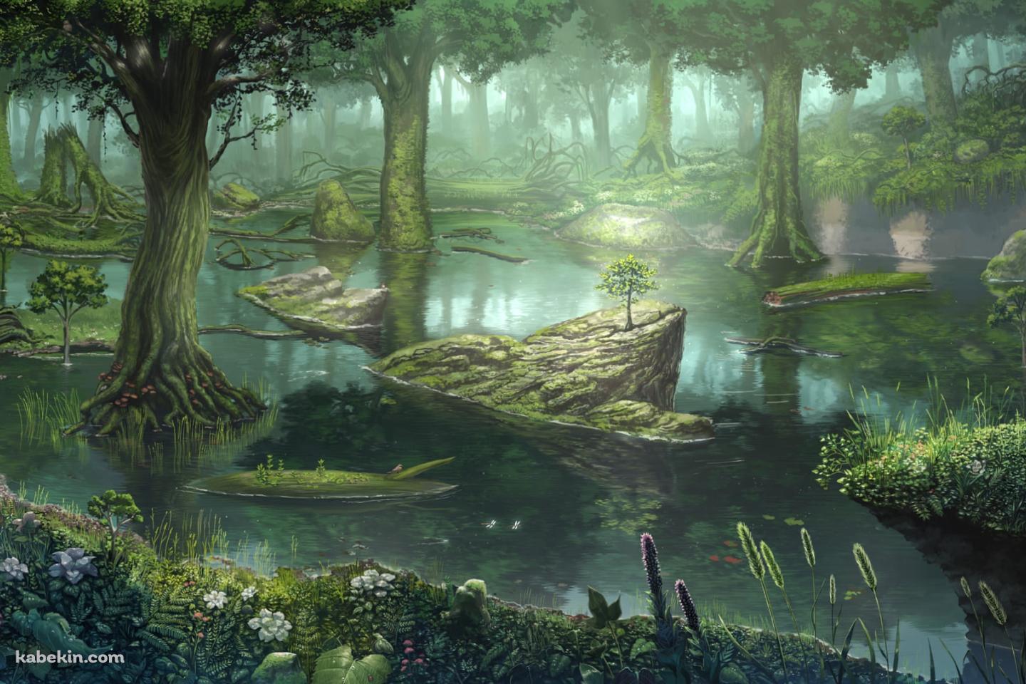 水気の多い森の壁紙(1440px x 960px) 高画質 PC・デスクトップ用