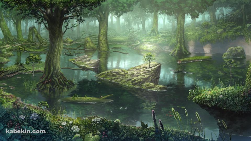 水気の多い森の壁紙(960px x 540px) 高画質 PC・デスクトップ用