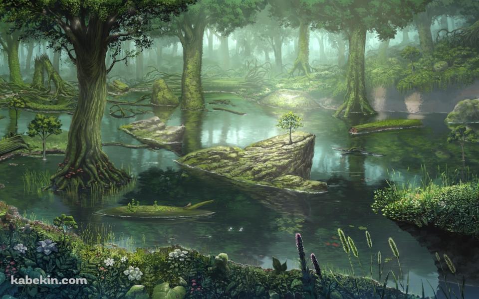 水気の多い森の壁紙(960px x 600px) 高画質 PC・デスクトップ用