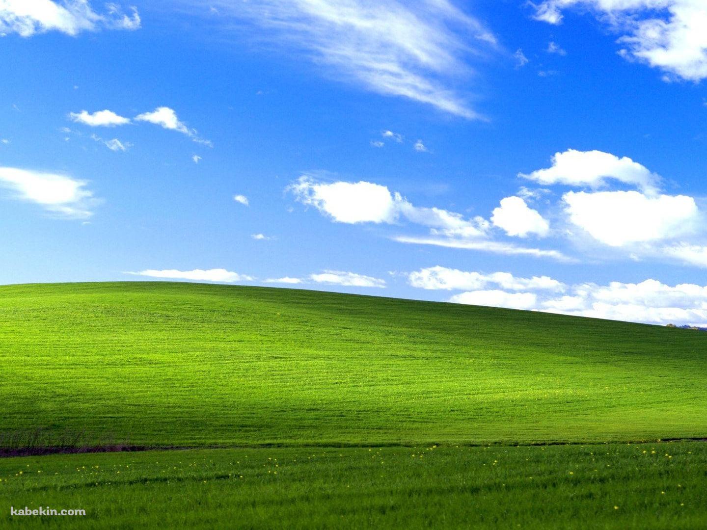 Windowsの例の丘 / 綺麗 / カリフォルニア州ソノマ郡 / アメリカの壁紙(1440px x 1080px) 高画質 PC・デスクトップ用