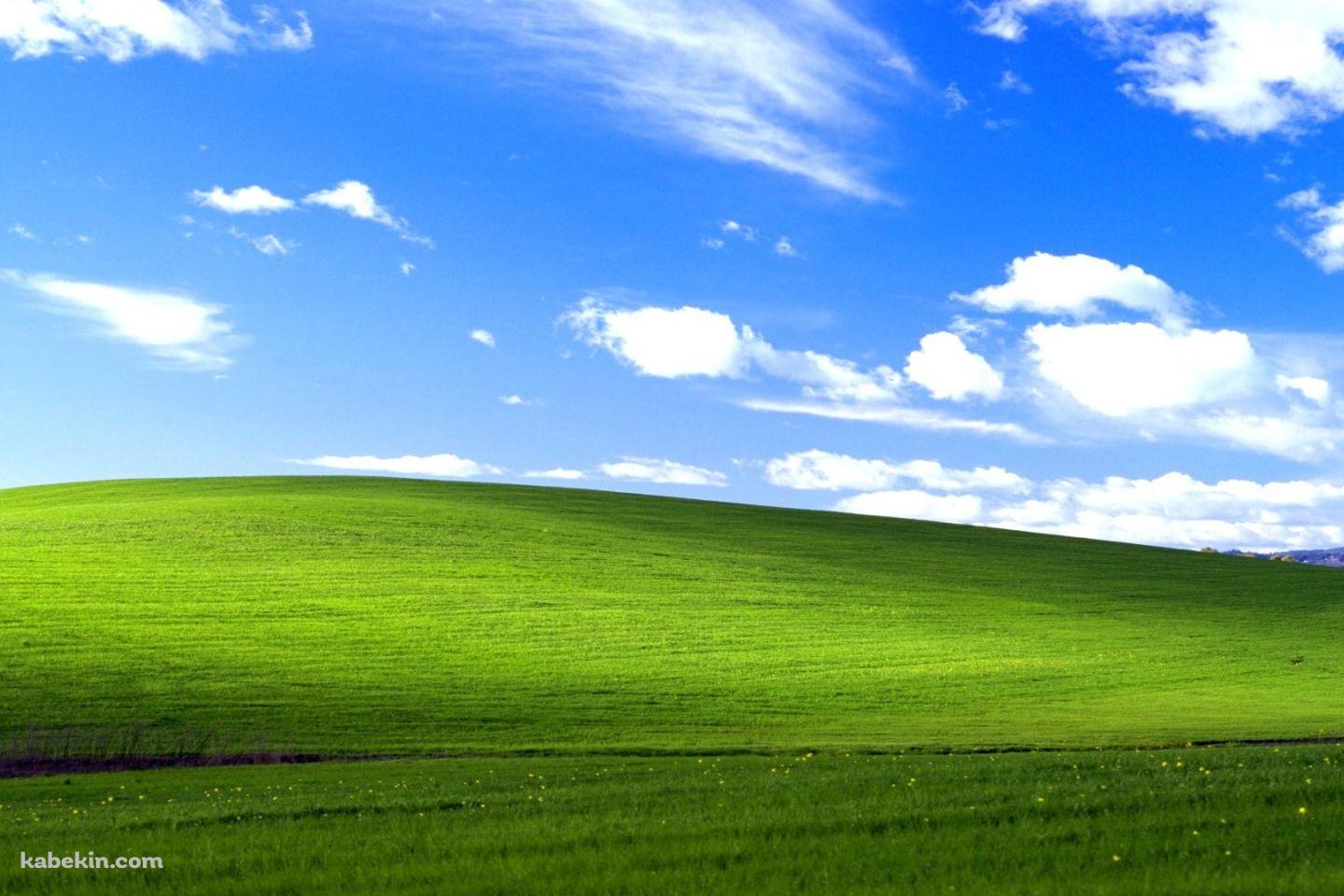 Windowsの例の丘 / 綺麗 / カリフォルニア州ソノマ郡 / アメリカの壁紙(1440px x 960px) 高画質 PC・デスクトップ用
