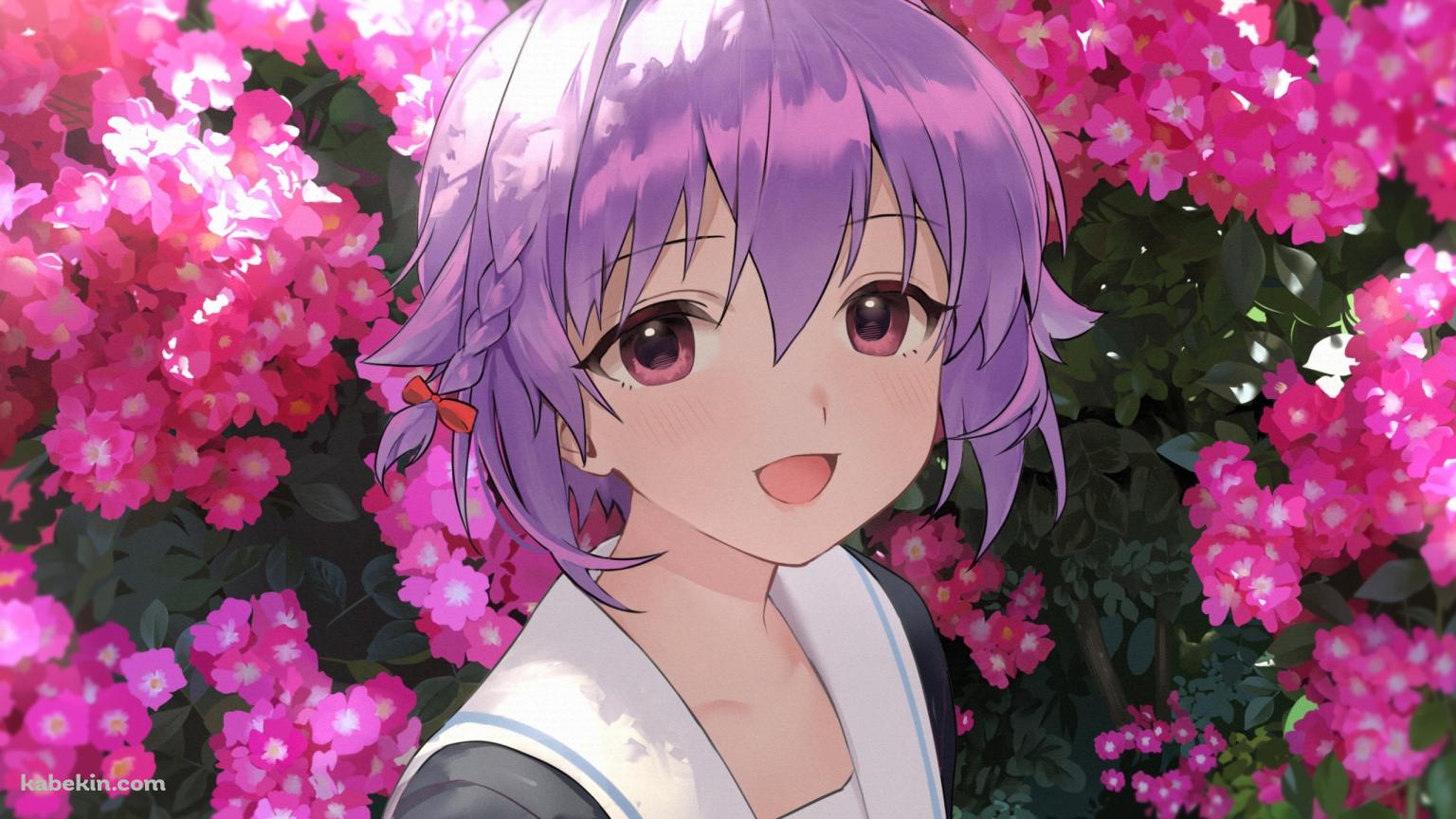 ピンクの花と笑顔の輿水幸子 / アイドルマスターの壁紙(1536px x 864px) 高画質 PC・デスクトップ用