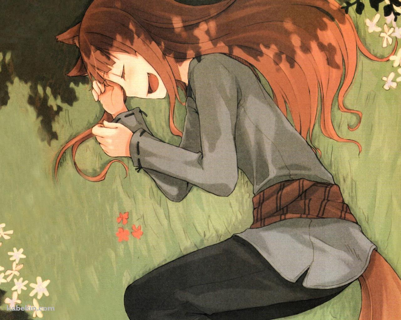 草原に横たわるホロ / 狼と香辛料の壁紙(1280px x 1024px) 高画質 PC・デスクトップ用