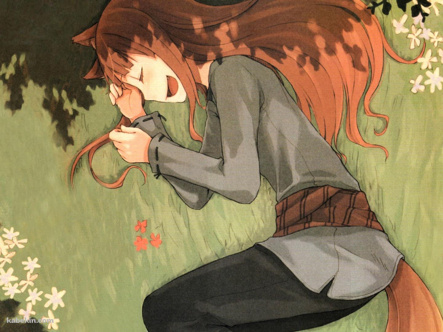 草原に横たわるホロ / 狼と香辛料の壁紙(1440px x 1080px) 高画質 PC・デスクトップ用