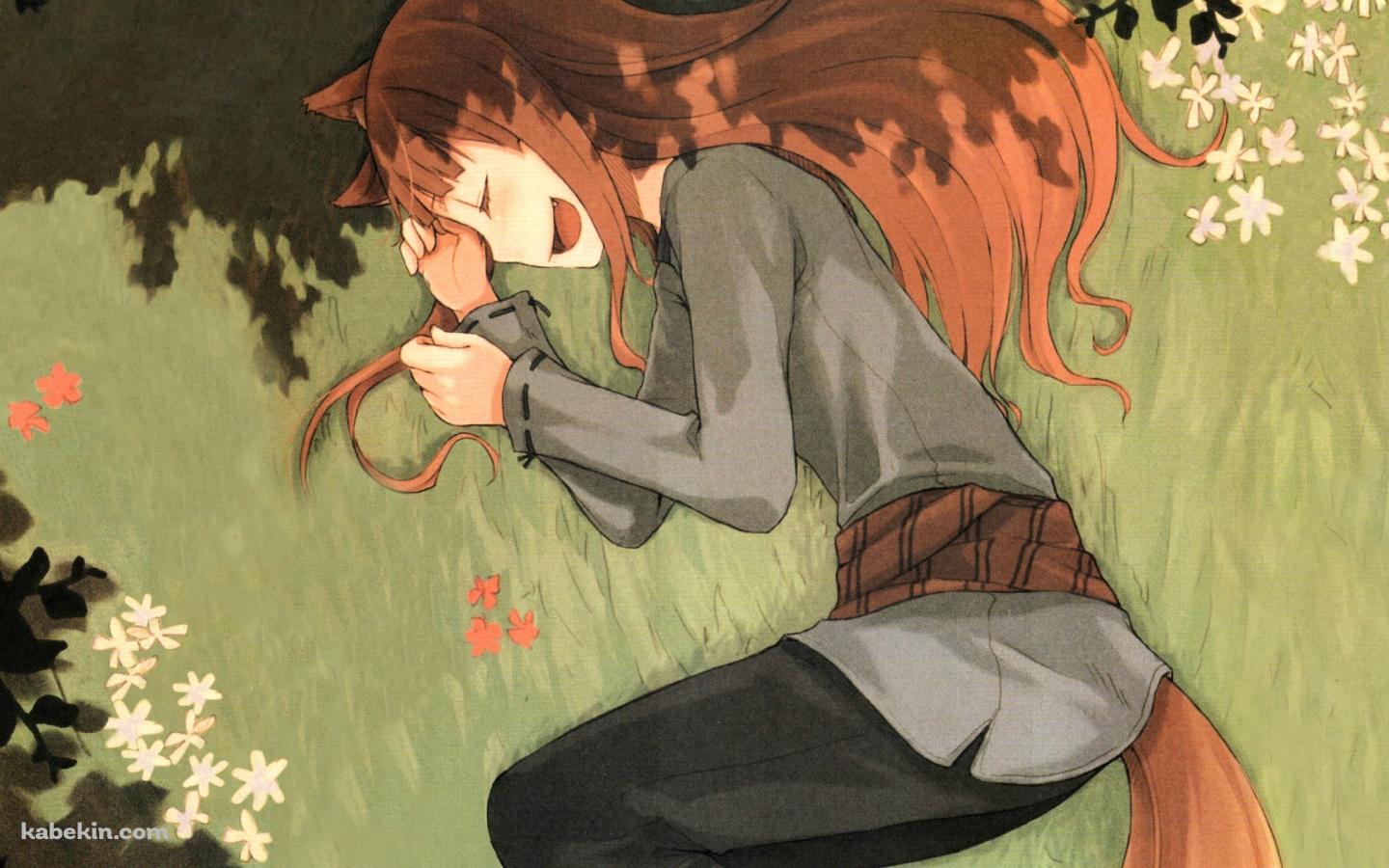 草原に横たわるホロ / 狼と香辛料の壁紙(1440px x 900px) 高画質 PC・デスクトップ用