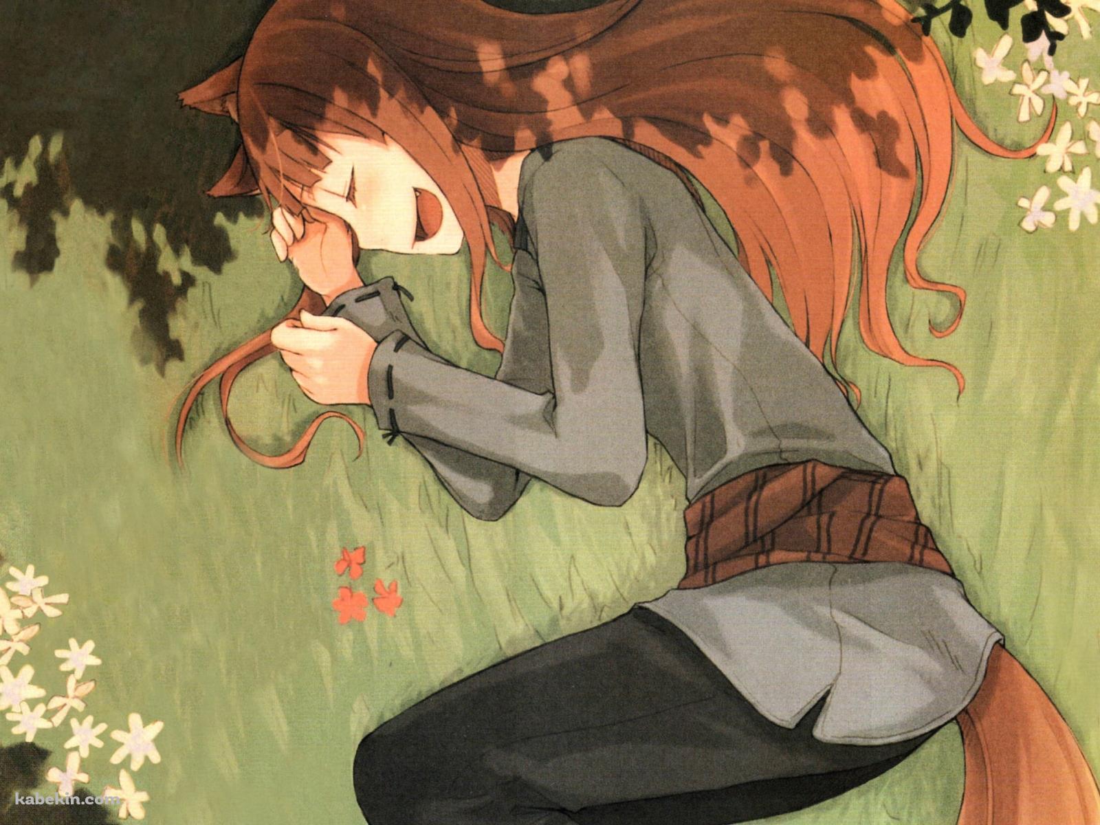 草原に横たわるホロ / 狼と香辛料の壁紙(1600px x 1200px) 高画質 PC・デスクトップ用