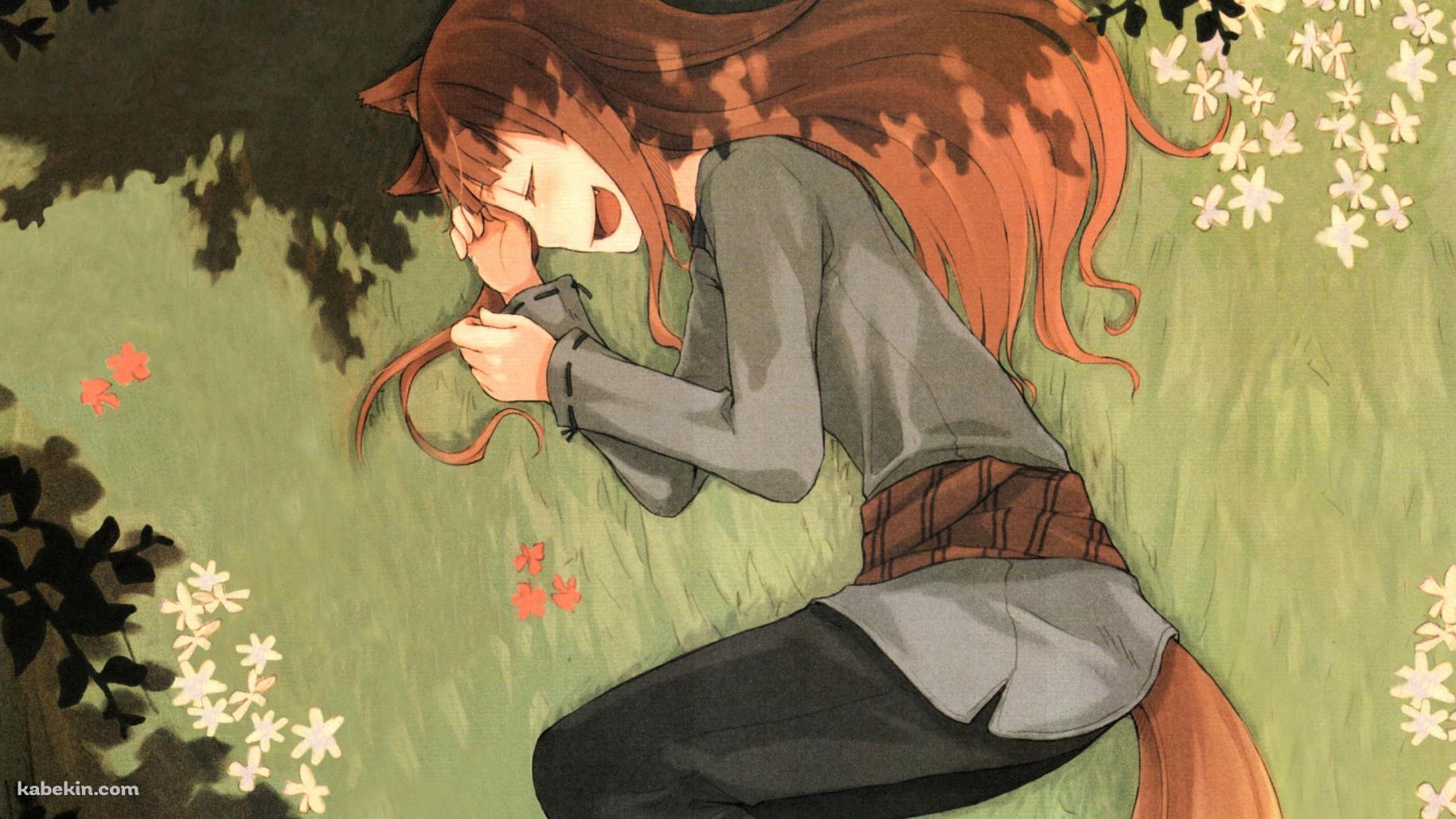 草原に横たわるホロ / 狼と香辛料の壁紙(1829px x 1029px) 高画質 PC・デスクトップ用