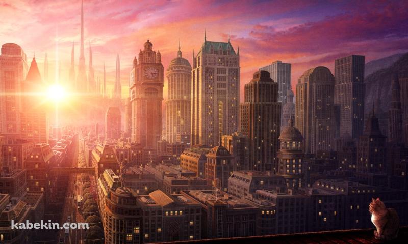 大都会と昇る太陽を見つめる猫の壁紙(800px x 480px) 高画質 PC・デスクトップ用