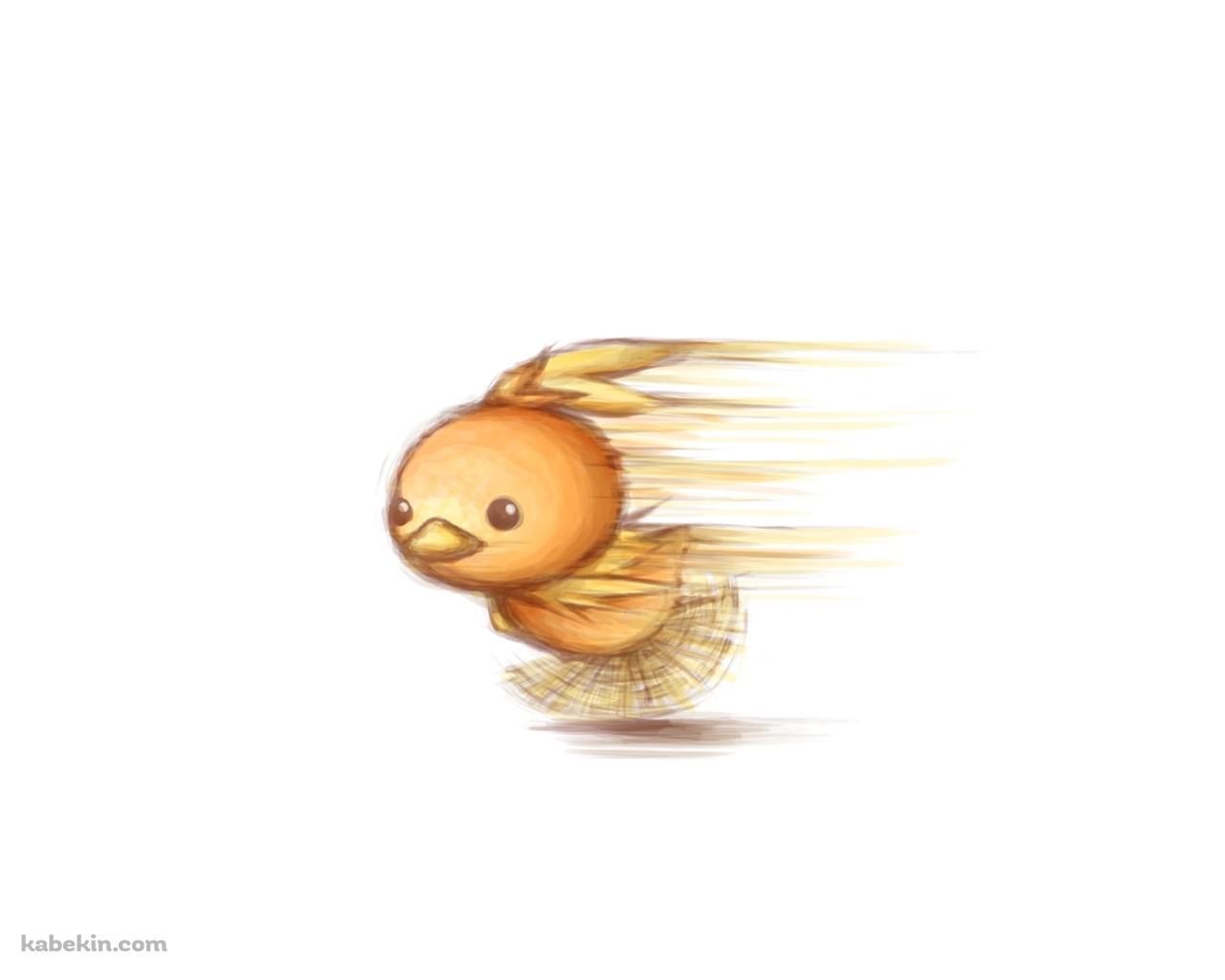 猛ダッシュするアチャモ / ポケモンの壁紙(1280px x 1024px) 高画質 PC・デスクトップ用