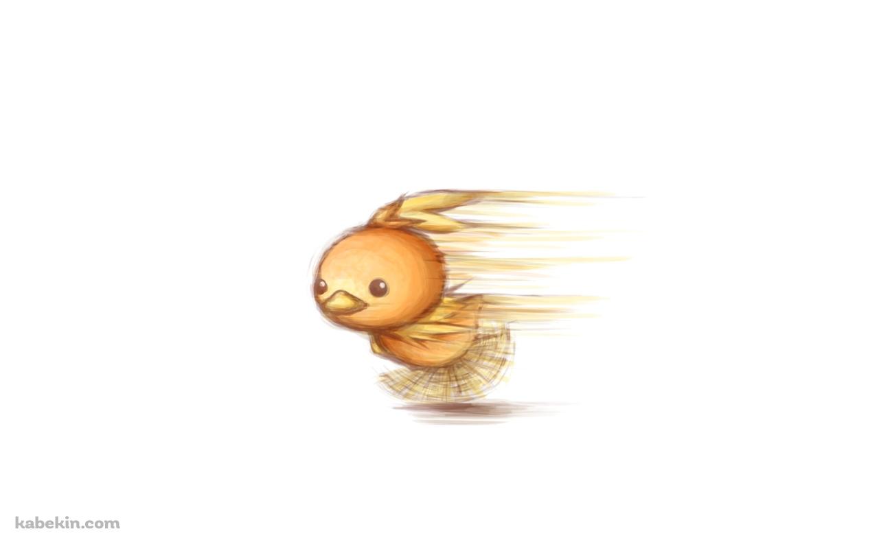 猛ダッシュするアチャモ / ポケモンの壁紙(1280px x 800px) 高画質 PC・デスクトップ用