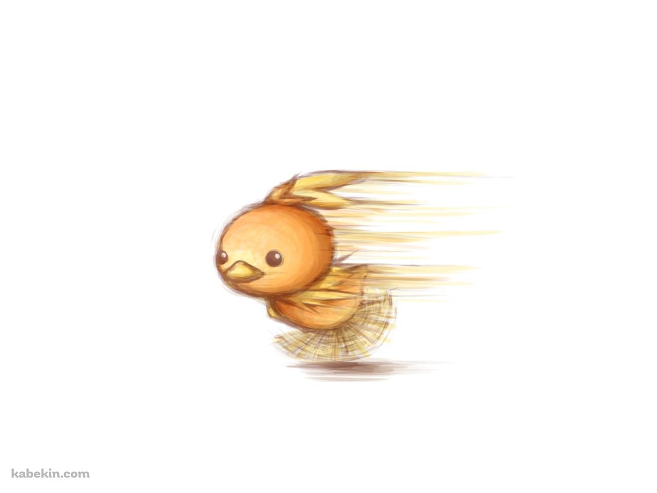猛ダッシュするアチャモ / ポケモンの壁紙(1280px x 960px) 高画質 PC・デスクトップ用