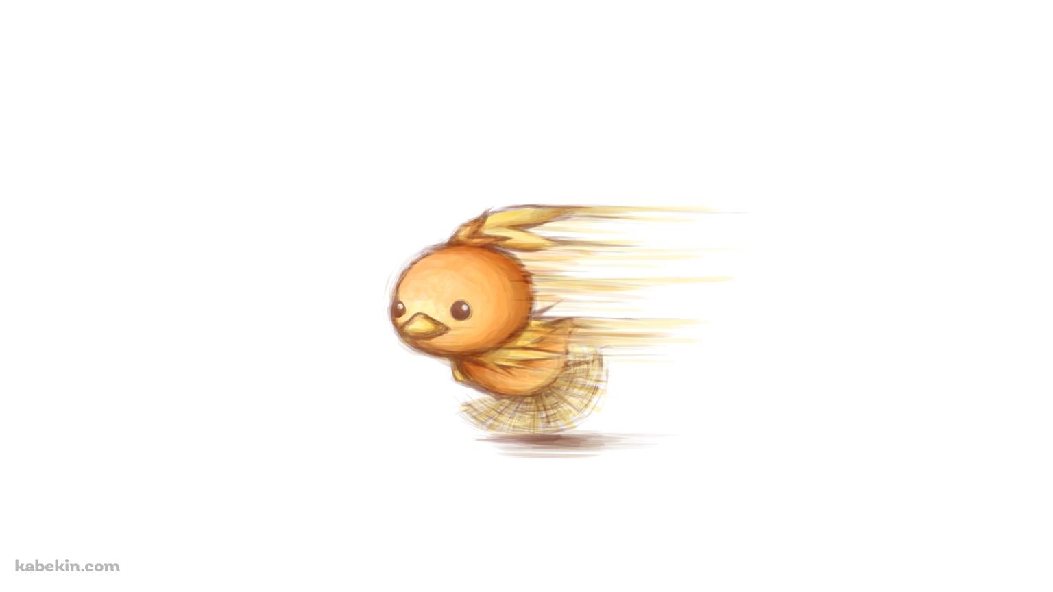 猛ダッシュするアチャモ / ポケモンの壁紙(1536px x 864px) 高画質 PC・デスクトップ用