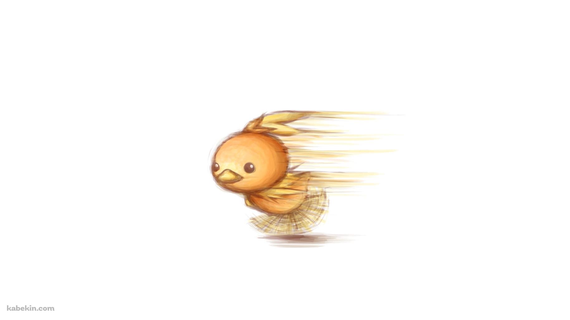 猛ダッシュするアチャモ / ポケモンの壁紙(1829px x 1029px) 高画質 PC・デスクトップ用