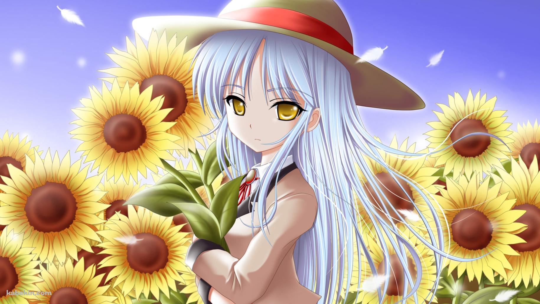 向日葵を抱える立華奏 / エンジェル ビーツ!の壁紙(1829px x 1029px) 高画質 PC・デスクトップ用